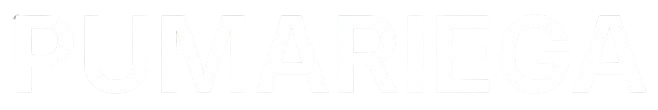 Logotipo Omar Pumariega - Consultor de negocios digitales